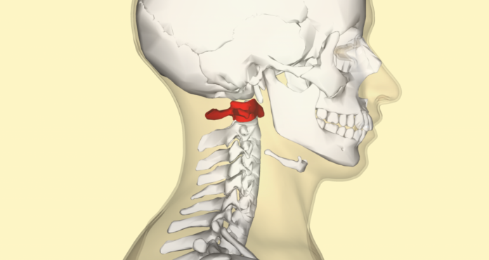 Halswirbel-Korrektur mit der Atlas-Adjustierung