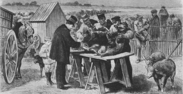 Louis_Pasteur_in_Pouilly-le-Fort_(Illustration_-_1881) Zeitgenössische Darstellung des Demonstrationsversuchs zur Milzbrandimpfung, den Louis Pasteur in Pouilly-le-Fort unternahm