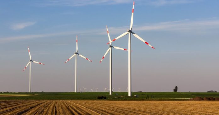 Windräder: Erneuerbare Energien werden bei der Stromerzeugung immer wichtiger.