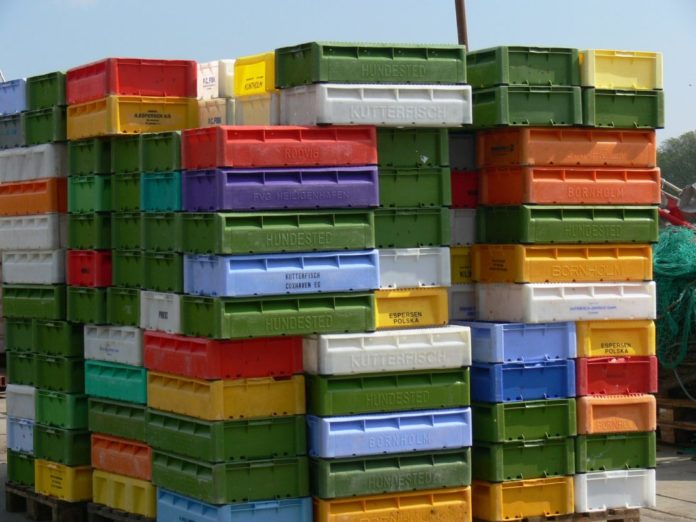 Behälterreinigung: Plastik Boxen in der Lebensmittelindustrie