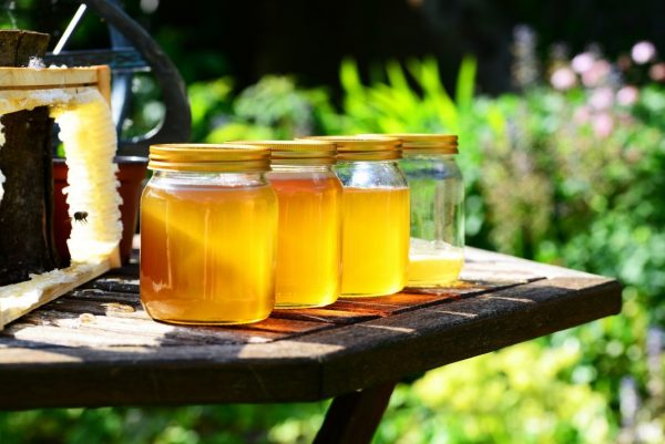 Honig in Gläsern mit Bienenwabe