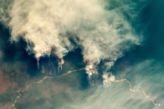fires_along_the_rio_xingu_-_brazil Abholzung in Brasilien - Fires along the Rio Xingu, Brazil