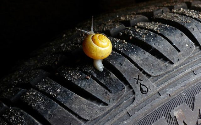 Schnecke, Mut Schnecke auf Autoreifen