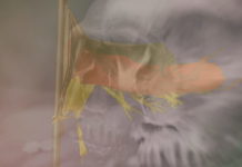 Corona – Macht und Globalismus  – Teil 1: Nacht über Deutschland! Deutschlandflagge mit Totenkopf als Hintergrund