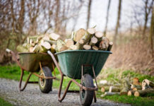 Brennholz selbst verarbeiten – darauf sollten Sie achten Schubkarren im Wald voll mit Brennholz