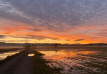 Wahren Besitz mehren Sonnenuntergang