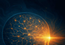 Die unterschätzte Kraft der Sinne – Wie dein Gehirn deine Realität formt Digitale Illustration eines menschlichen Kopfes mit strömendem Licht und neuronalen Mustern – symbolisiert die Verbindung von Bewusstsein, Sinnen und Realität.